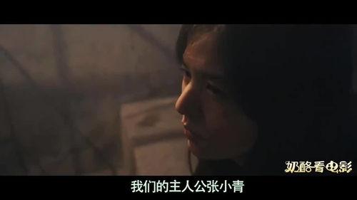 国产大黄片,传承与创新，中医药瑰宝的现代化之路