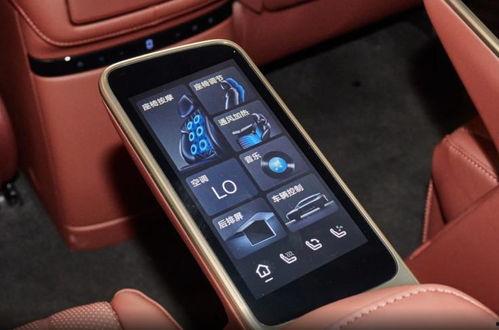 国产对白乱在线观看,笑料百出，方言魅力尽展